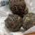 2020年勐库东半山古树混采龙珠生茶蜜香浓郁花香淡