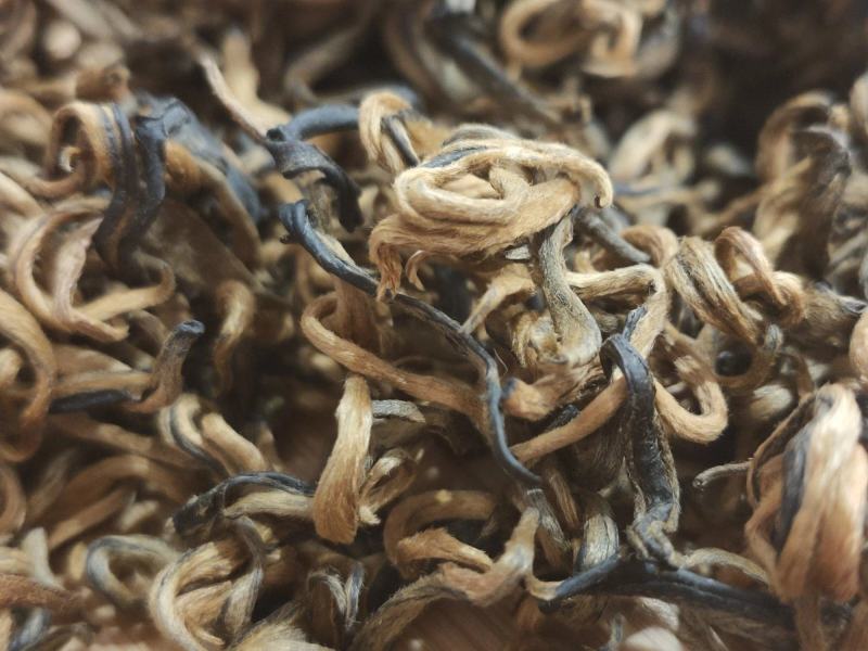 2020年，凤庆春茶，老工艺凤庆红茶金芽红茶蜜糖香