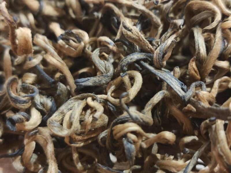 2020年，凤庆春茶，老工艺凤庆红茶金芽红茶蜜糖香