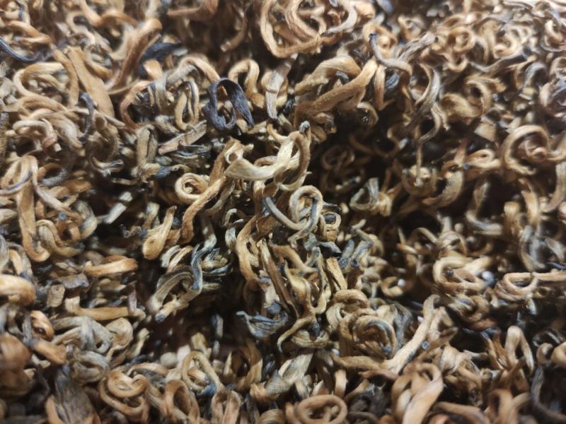 2020年，凤庆春茶，老工艺凤庆红茶金芽红茶蜜糖香