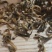2020年，凤庆春茶，老工艺凤庆红茶金芽红茶蜜糖香