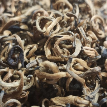 2020年，凤庆春茶，老工艺凤庆红茶金芽红茶蜜糖香