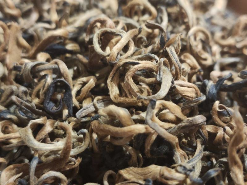 2020年，凤庆春茶，老工艺凤庆红茶金芽红茶蜜糖香