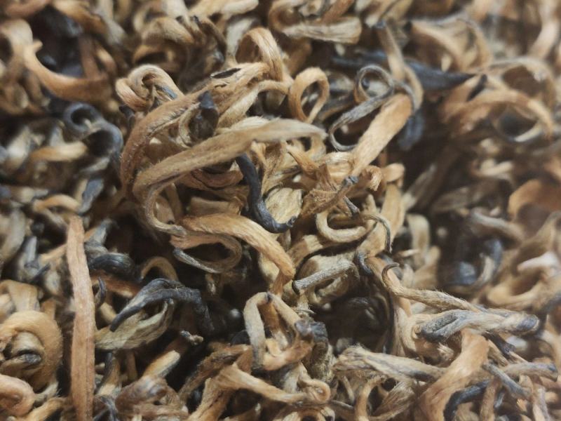 2020年，凤庆春茶，老工艺凤庆红茶金芽红茶蜜糖香