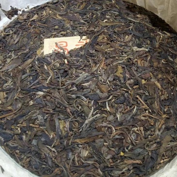 2009年，易武乔木圆茶生茶400克一饼