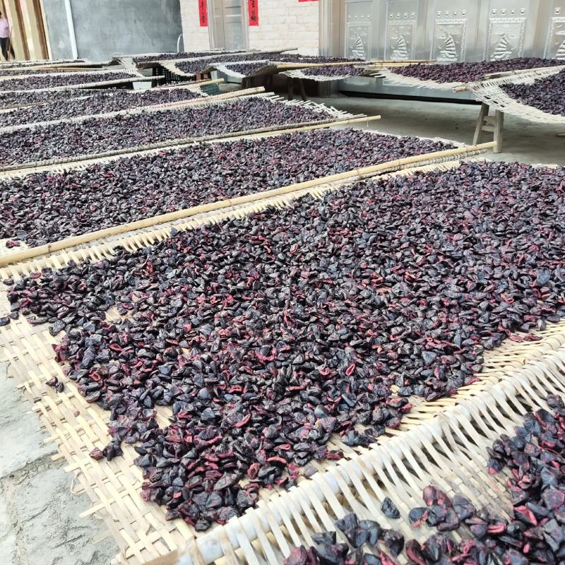 大量供应信宜油榄角干多种级别乌榄角农家自产咸香榄角干