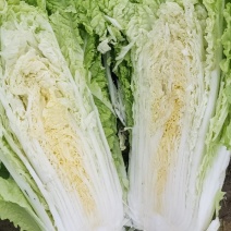 黄心大白菜，五斤往上，个个满心