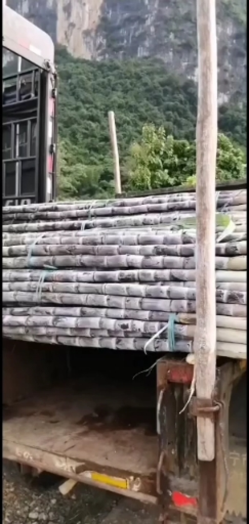 黑皮甘蔗，粗大包甜，一手货源，可视频看货，提供便宜回程车
