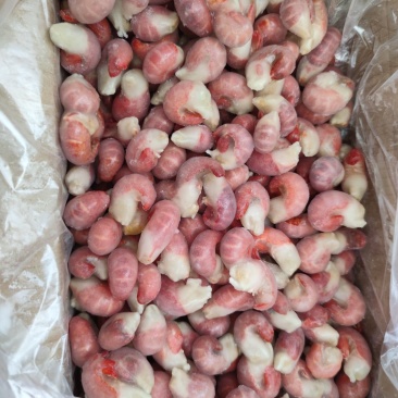 热卖产品，特A级龙虾尾