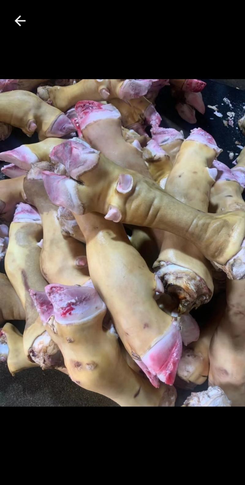 国产火烧牛蹄，国产火烧牛蹄，国产火烧牛蹄，