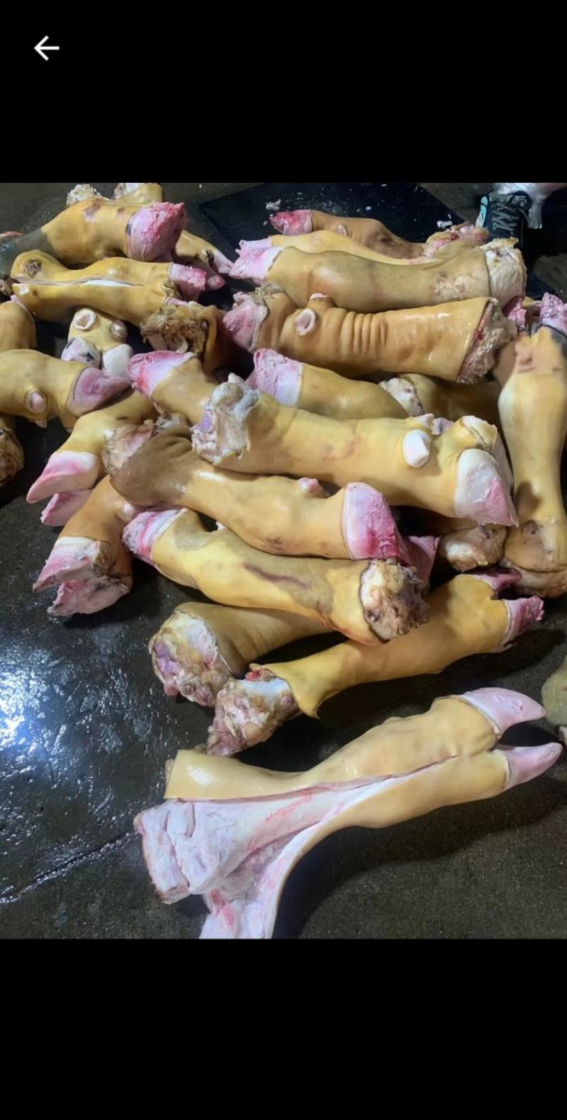 国产火烧牛蹄，国产火烧牛蹄，国产火烧牛蹄，