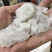 白矾明矾保庆药业批发白帆实物拍摄现货