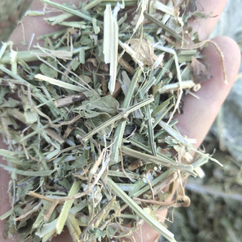 2022精品花生秧，保质保量，质量层层把关，长期供应