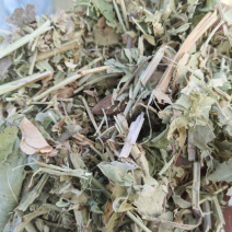 2022精品花生秧，保质保量，质量层层把关，长期供应