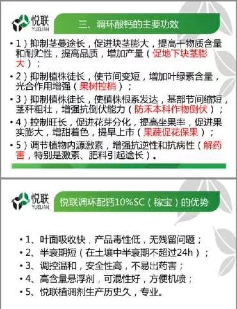 调环酸钙悦联稼宝控旺控梢花生控旺无残留膨果增产美邦碧显