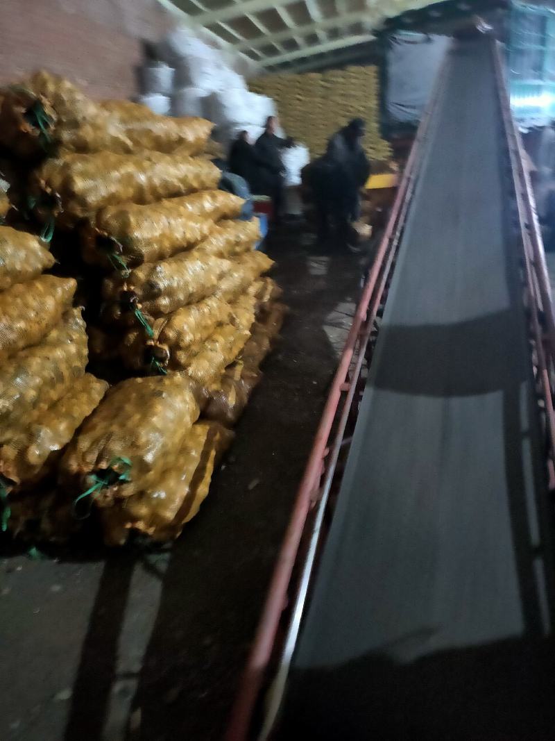 小薯123两，种类齐全，黄皮黄心，可以干洗,尤金，兴佳…