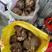 贵州铜仁根茎类蔬菜农家生鲜商品花魔芋种植产量高口感好