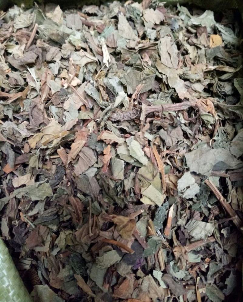 鱼腥草干货量大从优欢迎选购各种草药
