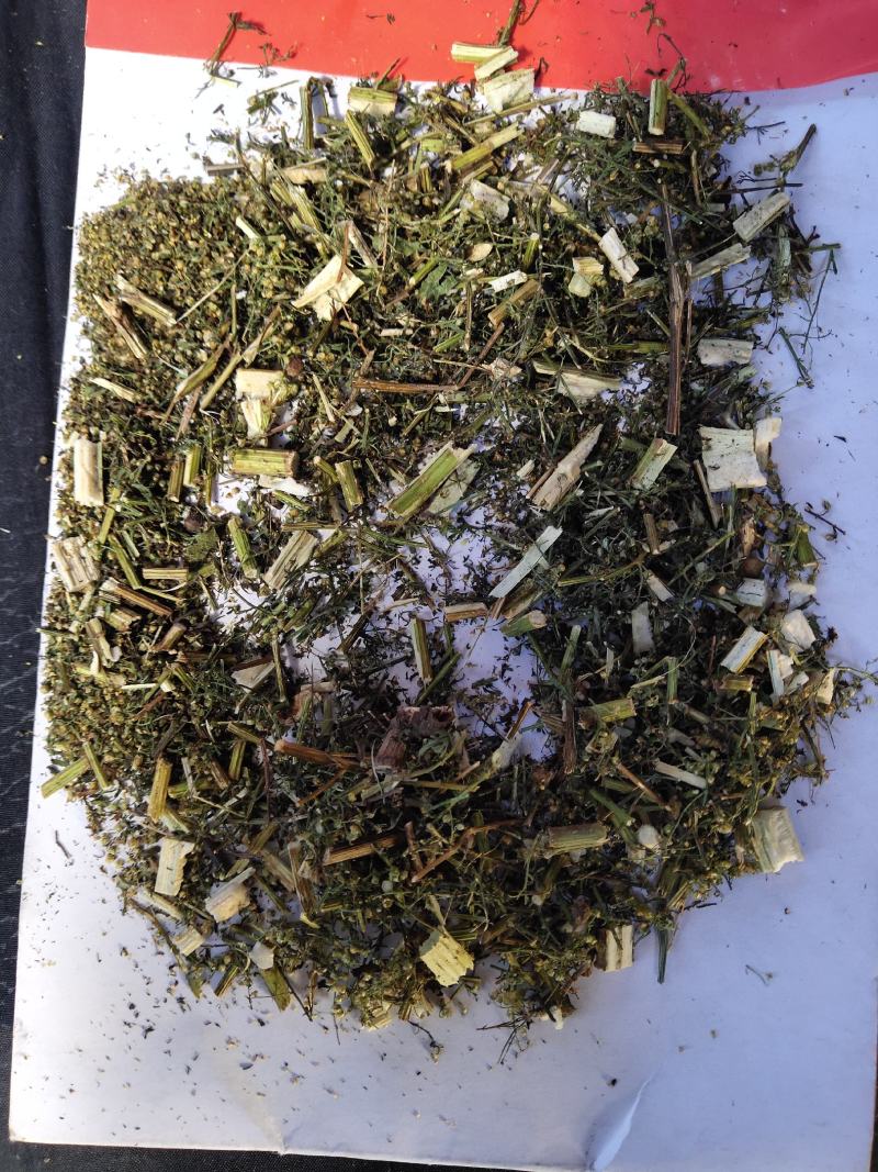 青蒿次统货带自然沫批发支持代发1000克