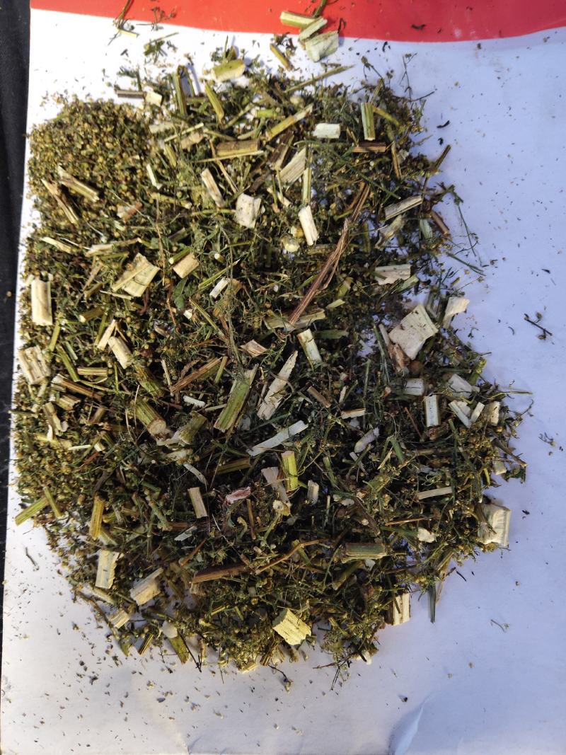 青蒿次统货带自然沫批发支持代发1000克