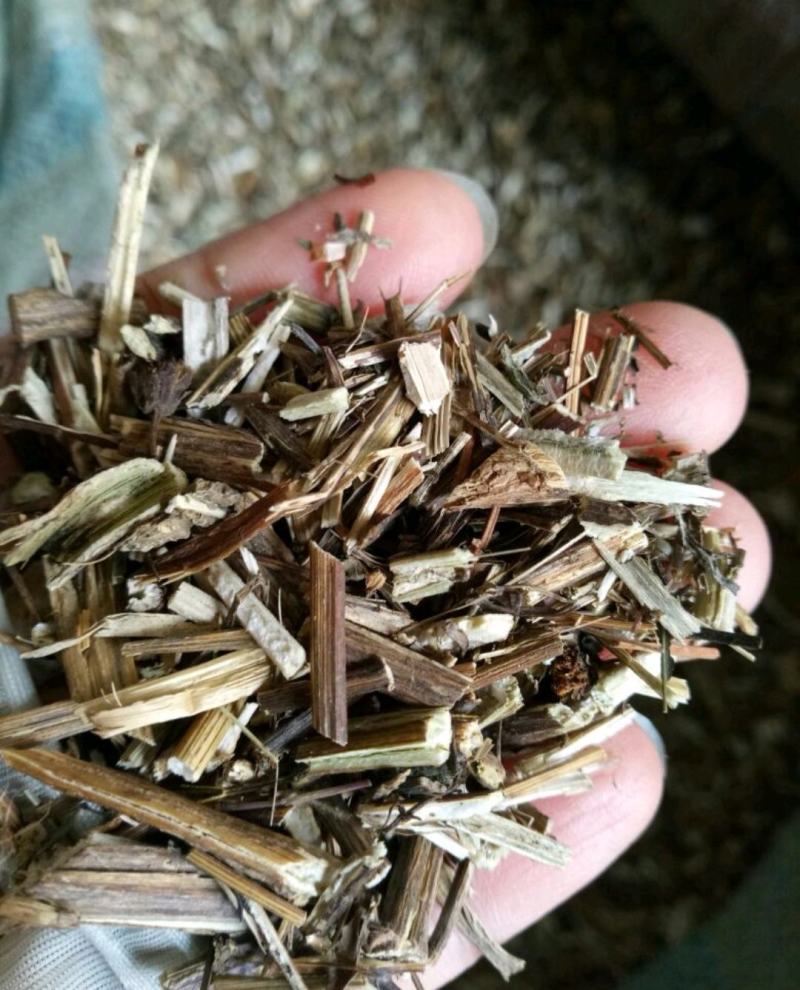 鬼针草安徽干货2斤起包邮量大从优