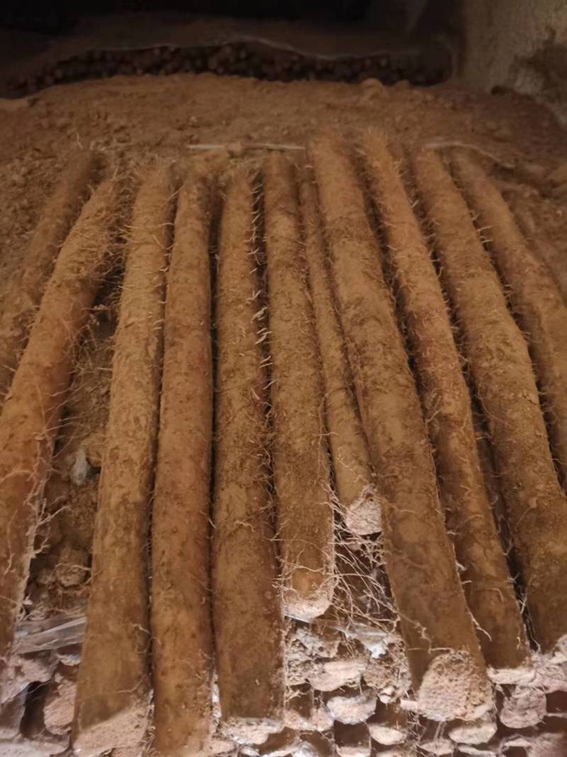 库存好白玉大量有货，有条口，有粗度，有长度，保质保量！