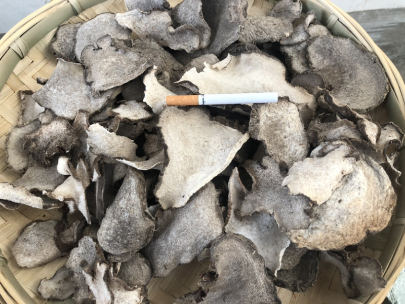云南魔芋干片大货直供