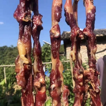 腊鸭条，精致鸭条多肉少骨味道非常好炒辣椒蒸姜丝蒜蓉都好