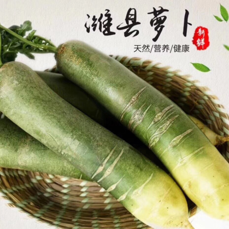 山东潍坊青萝卜高品质低价格清库甩**电商加工厂