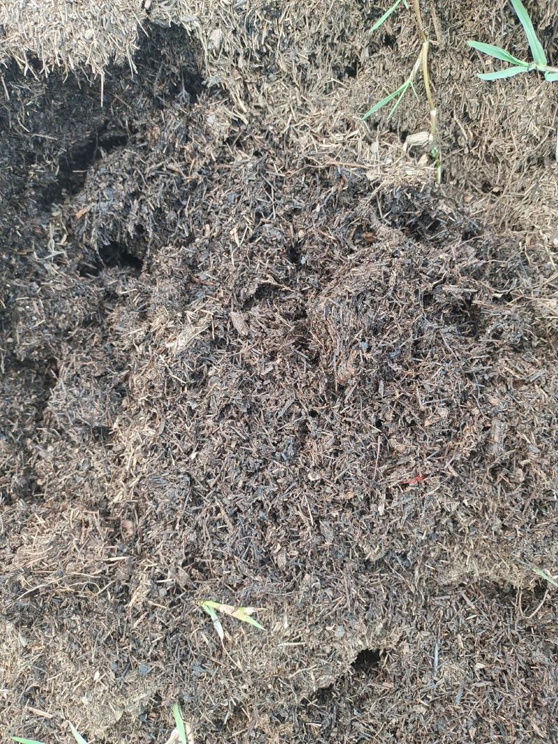 松针土腐叶土基质土加工及出售