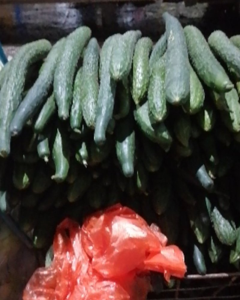 蔬菜类，豆类，西红柿收买