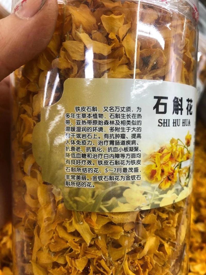 无斑点【鼓槌石斛花】……大量批发