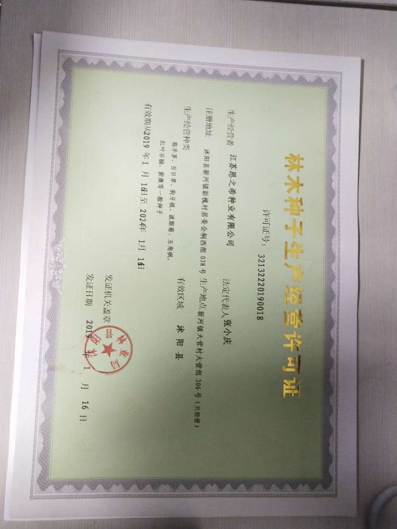 进口狗牙根草坪种子巴根草种籽四季常青护坡固土草籽耐旱