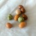 彩色花生豆、鱼皮豆、日本豆