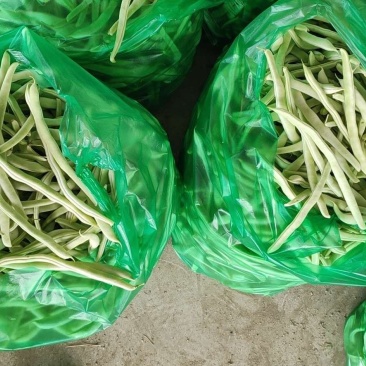 白豆角，白芸豆，豆角