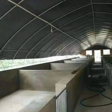 养殖大棚种植大棚蔬菜大棚