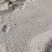 精选黄豆，湖北产地，豆制品专用，出浆率高，欢迎采购