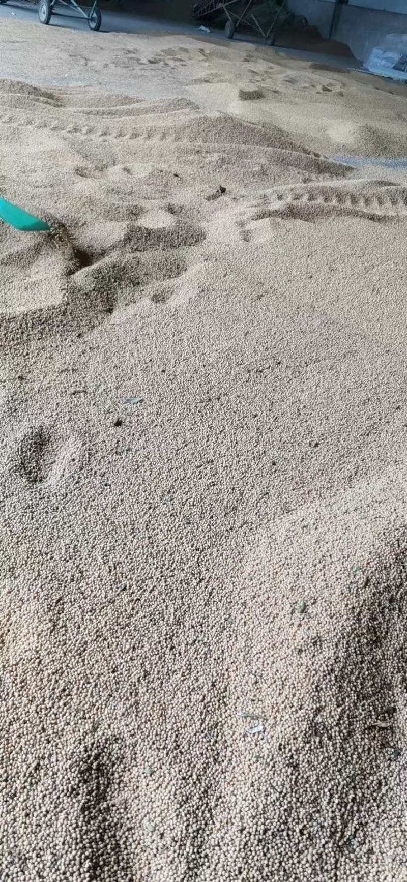 精选黄豆，湖北产地，豆制品专用，出浆率高，欢迎采购