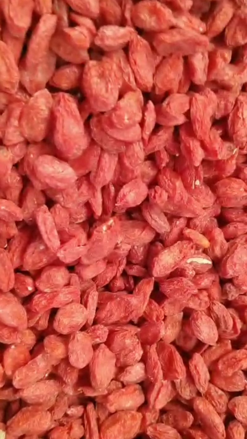 中宁红枸杞供电商批发商货好价格低颗粒饱满质量保证