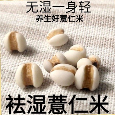 薏仁薏仁米农家薏仁薏仁米农家薏仁米熬粥打粉豆浆包邮
