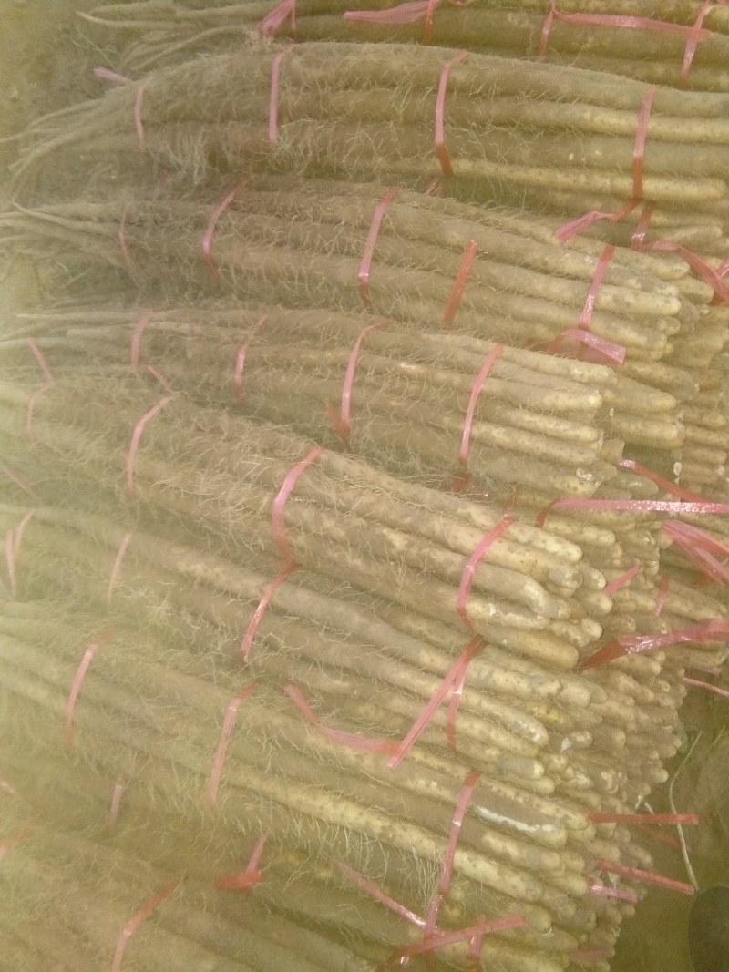 铁棍山药3~4厘米特级通货70~90厘米