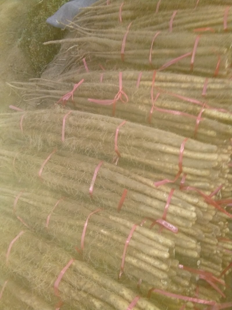 铁棍山药3~4厘米特级通货70~90厘米