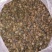 山茶籽油茶籽大量上市