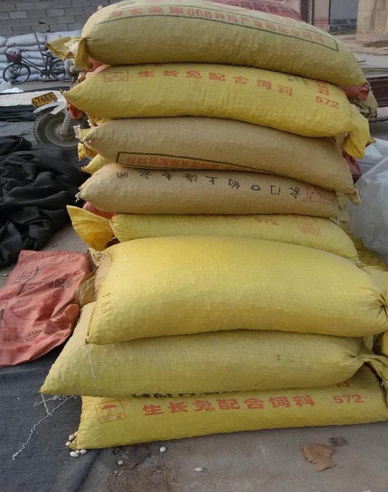 白果白果干果可食用白果种子批零皆免费发物流