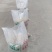白果白果干果可食用白果种子批零皆免费发物流