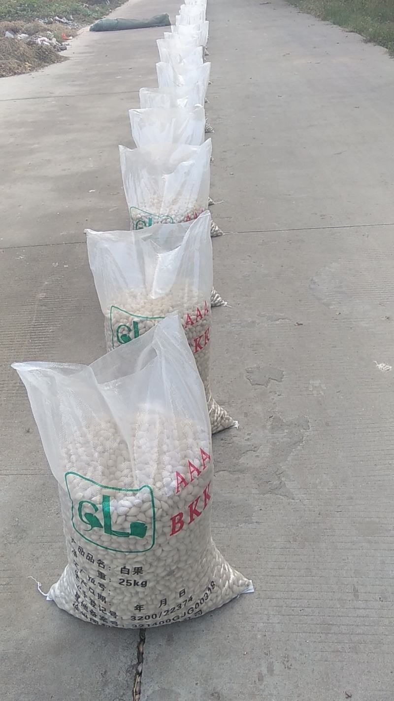 白果白果干果可食用白果种子批零皆免费发物流