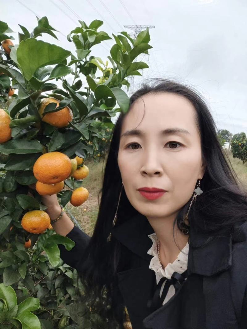 柑桔，金秋沙糖桔，口感好