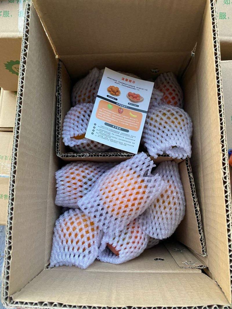 阳丰脆柿子产地一手货源，支持一件代发，对接电商