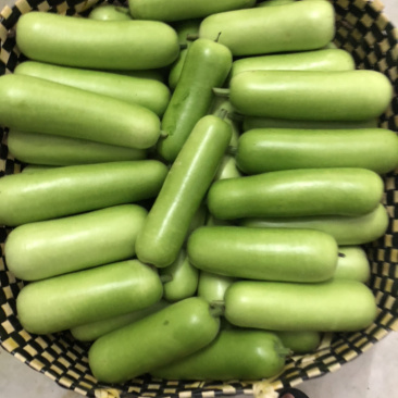 瓠子瓜