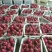 海南火龙果本地产的，新鲜，口感好。